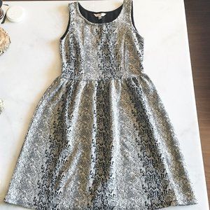 Jack BB Dakota sleeveless black & cream knit fit & flare dress with snake print
